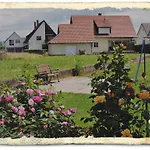 - Restaurant Hirschen - Werneths Landgasthof Beim Europa- Park Rust Hotel