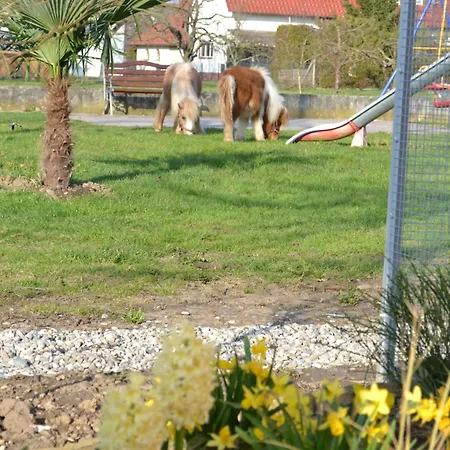 Hotel - Restaurant Hirschen - Werneths Landgasthof Beim Europa- Park Rust