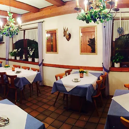 Отель - Restaurant Hirschen - Werneths Landgasthof Beim Europa- Park Rust Райнхаузен