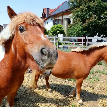 - Restaurant Hirschen - Werneths Landgasthof Beim Europa- Park Rust Hotel 2*