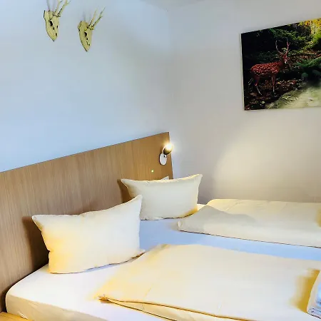 Hotel - Restaurant Hirschen - Werneths Landgasthof Beim Europa- Park Rust