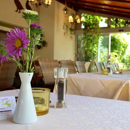 - Restaurant Hirschen - Werneths Landgasthof Beim Europa- Park Rust Rheinhausen